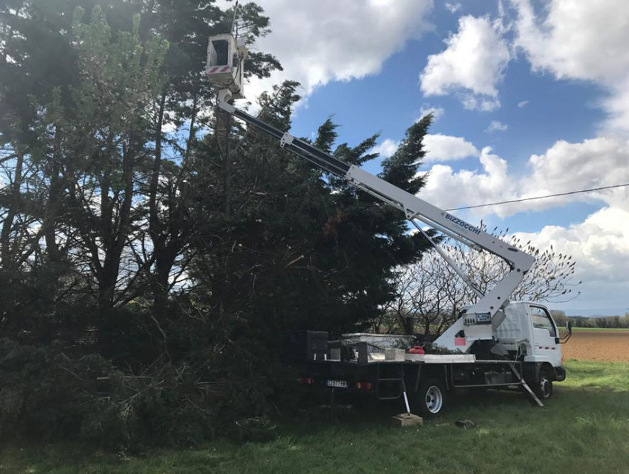 Prix pour abattre un arbre Aix-en-Provence