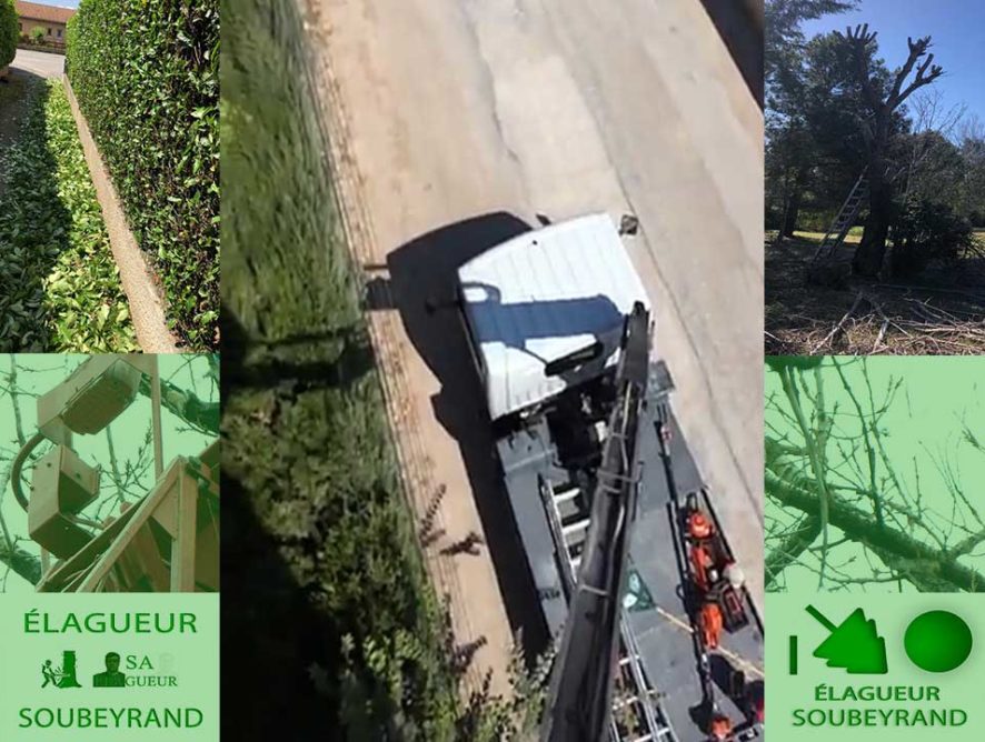 Élagueur avec nacelle Marseille