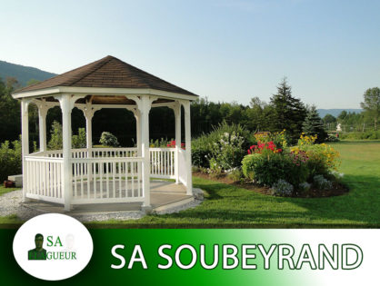 Rognage des arbres Aix-en-Provence