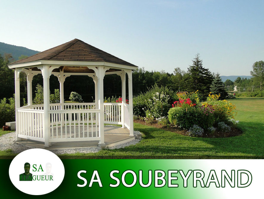 Rognage des arbres Aix-en-Provence