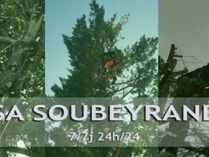 Abattage arbre dangereux Ventabren 13122