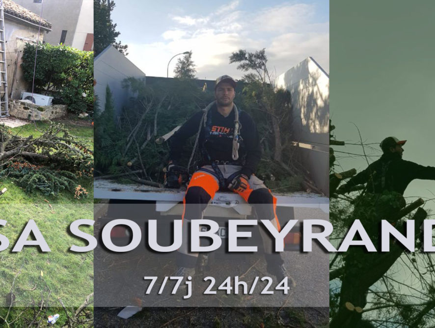 Élagueur avec nacelle Ventabren 13122