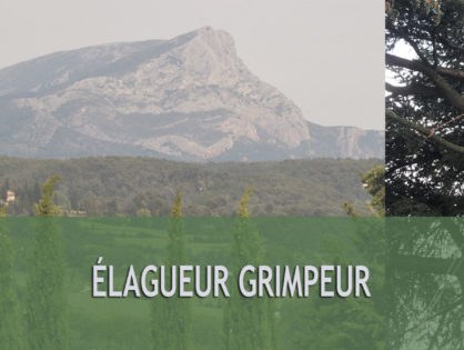 Élagueur avec nacelle Ensuès-la-Redonne 13820