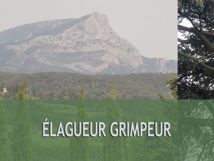 Élagueur avec nacelle Ensuès-la-Redonne 13820