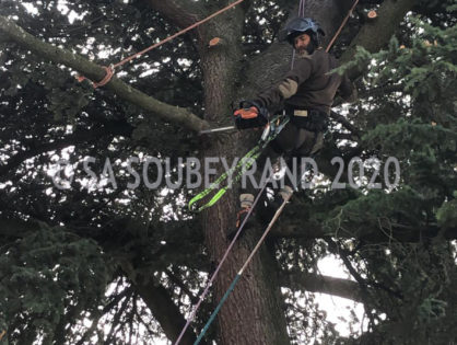 Élagueur accès difficile Le Tholonet 13100