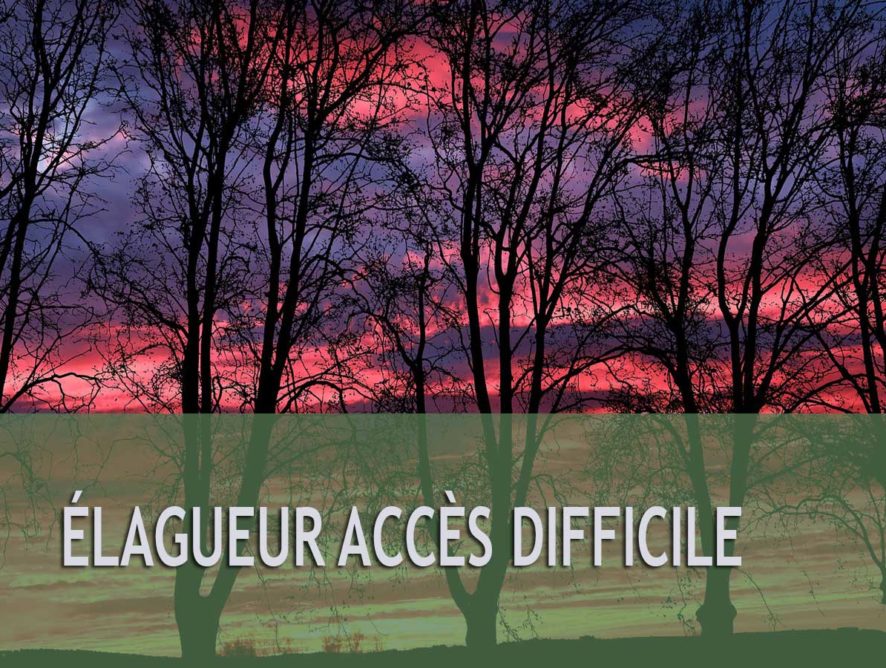 Élagueur accès difficile Aix-en-Provence 13100