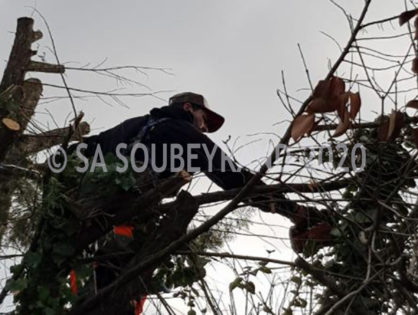 Élagueur avec nacelle Calas 13480
