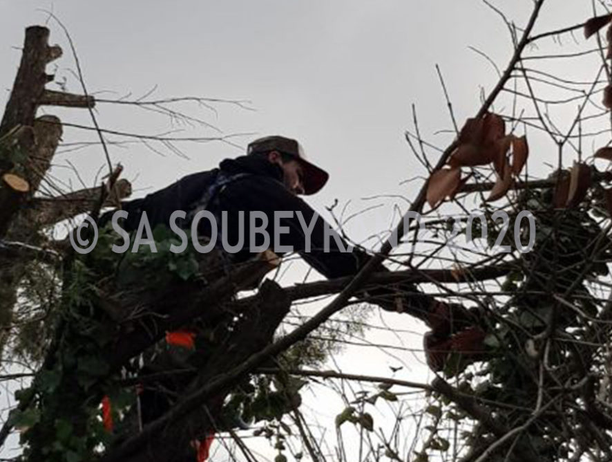 Élagueur avec nacelle Calas 13480